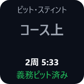 コース上・義務ピット済み