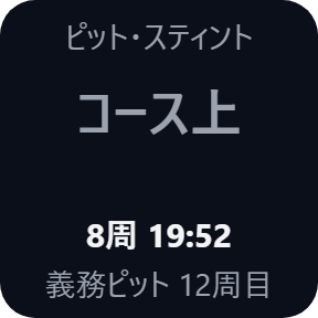 コース上・義務ピットあり